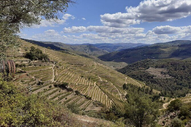 Douro Valley Small-Group Tour: 2 Wineries, Lunch, Optional Cruise - What does the tour deliver in value?