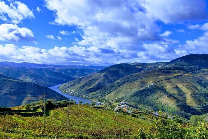 Douro Valley Small-Group Tour: 2 Wineries, Lunch, Optional Cruise - Who will love this tour?