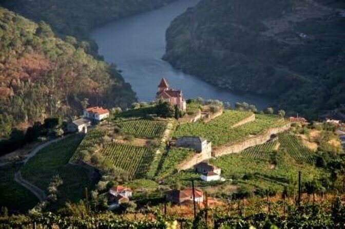 Douro Valley Small-Group Tour with Wine Tasting, Lunch and Boat - An In-Depth Look at the Douro Valley Tour