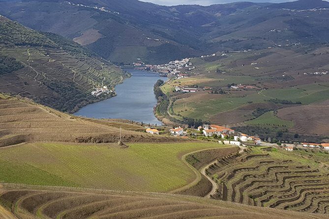 Douro Valley Tour: 2 Vineyard Visits, River Cruise, Winery Lunch - What Makes This Tour Stand Out?