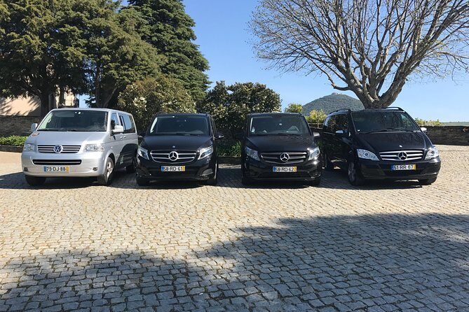Douro Valley Tour from Peso da Regua - A detailed look at what the tour offers
