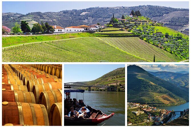 Douro Valley tour from Porto - A Deep Dive into the Douro Valley Tour from Porto
