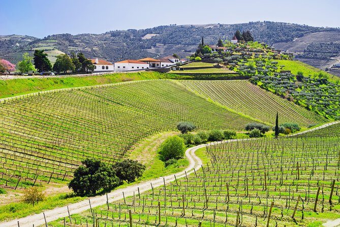 Douro Valley tour from Porto - FAQ