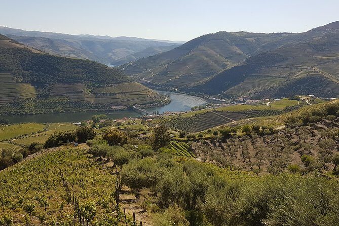 Douro Valley Tour Wine and breathtaking views - An In-Depth Look at the Douro Valley Tour