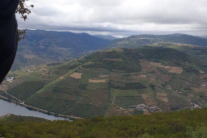 Douro Valley Tour Wine and breathtaking views - Frequently Asked Questions