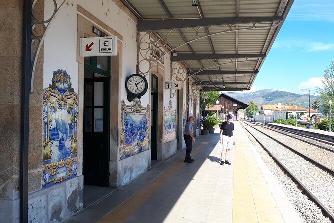 Douro Valley Tour (wine & Food) - Discover the Douro Valley on a Private Wine & Food Tour from Porto