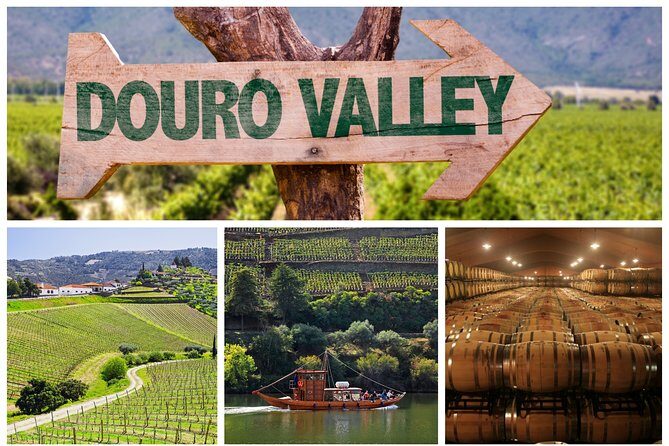 Douro Valley Tour: Wine Tasting, Cruise and Lunch from Porto - Exploring the Douro Valley: An In-Depth Review
