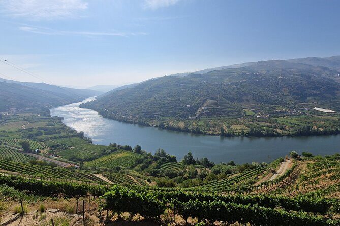 Douro Valley Tour: Wine Tasting River Cruise and Lunch from Porto - FAQ