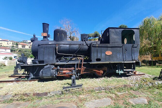 Douro Valley Tour with Train and Vinho Verde - An Authentic Day Exploring Portugal’s Douro Valley