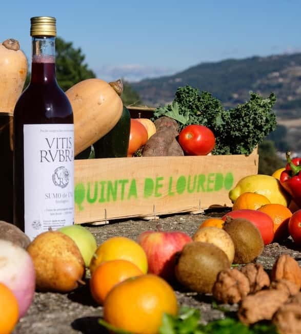 Douro Valley: Traditional Cooking Class, Farm Tour & Lunch - The Sum Up