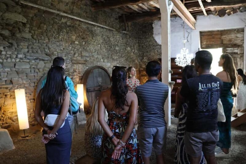 Douro Valley: Visit 2 Wineries with lunch, and 1-Hour Cruise - Who Will Love This Tour?