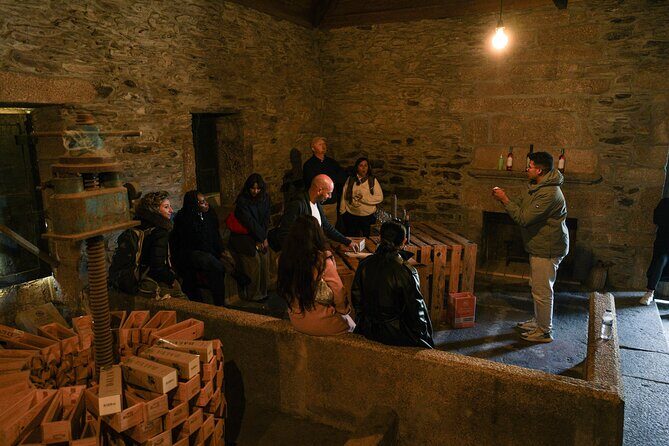 DOURO VALLEY: Visit Small local wineries, lunch & an 1h-boat Tour - A Detailed Look at the Tour Experience
