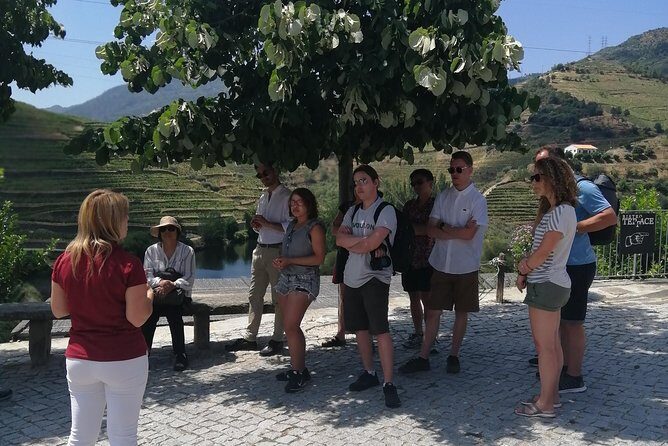 DOURO VALLEY: Visit Small local wineries, lunch & an 1h-boat Tour - Final Thoughts