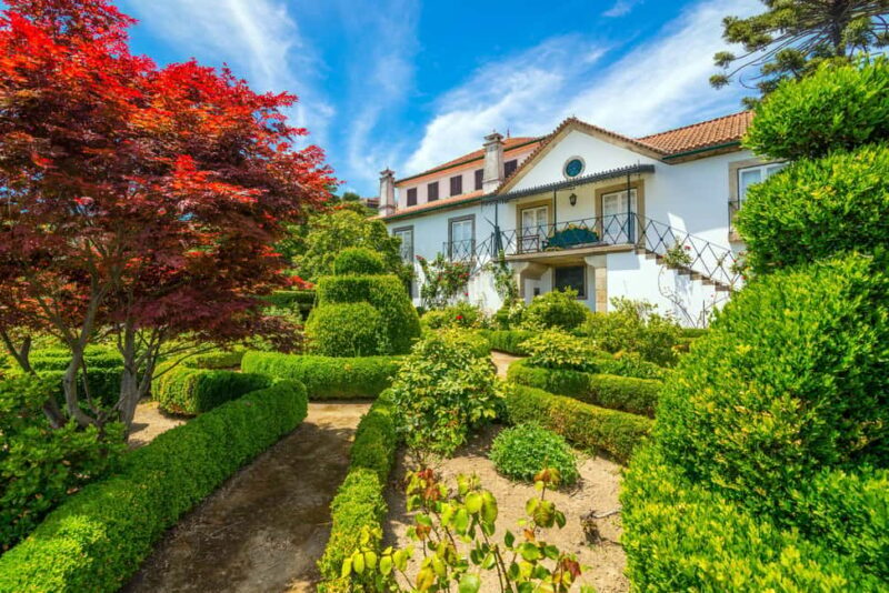 Douro Valley: Walk Through The Vineyards And Woods - Additional Information