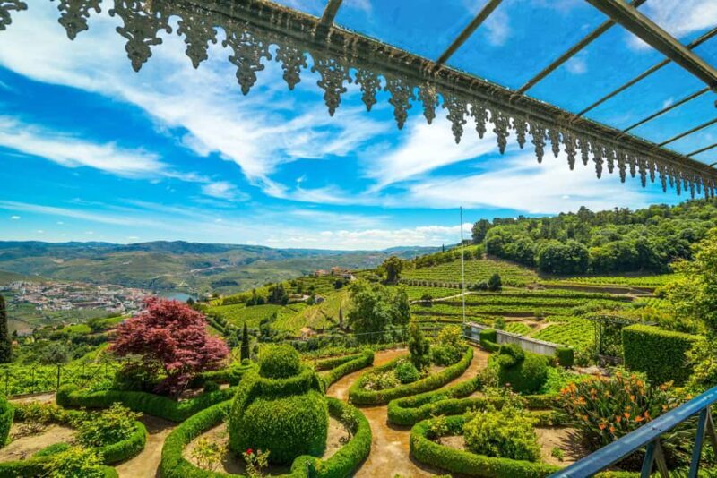 Douro Valley: Walk Through The Vineyards And Woods - FAQ