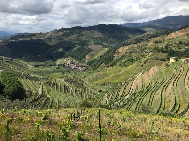 Douro Valley: water walking adventure with local lunch - Frequently Asked Questions