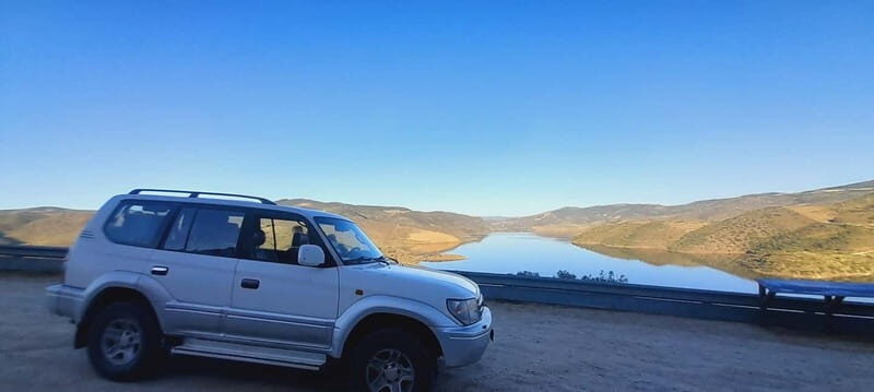 Douro Valley: Wine & Chocolate Tour in the Wine Region - An In-Depth Look at the Douro Valley Wine & Chocolate Tour