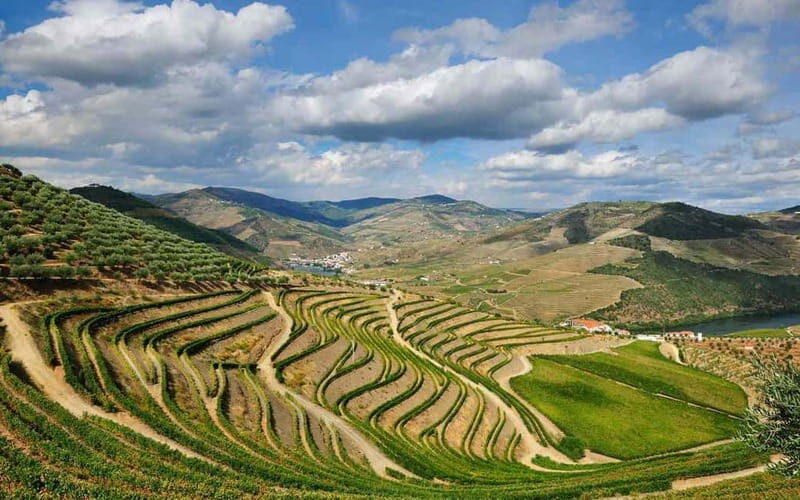 Douro Valley: Wine & Chocolate Tour in the Wine Region - Practical Details and Tips