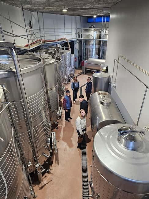Douro Valley: Wine, History, and Ferdinand Magellan Tour - Who Will Enjoy This Tour?