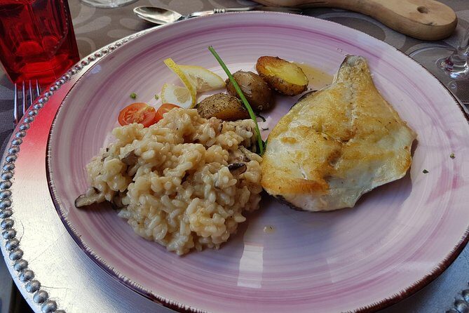 Douro Valley Wine Tour: 3 Vineyard Visits, Wine Tastings, Lunch - Key Points