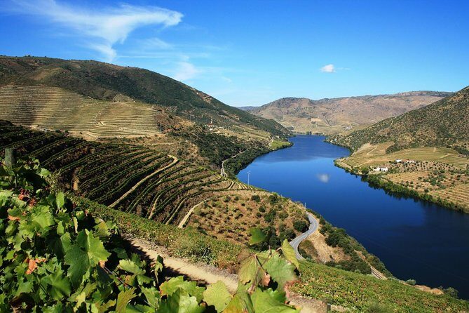 Douro Valley Wine Tour: 3 Vineyard Visits, Wine Tastings, Lunch - What Makes This Tour Truly Stand Out