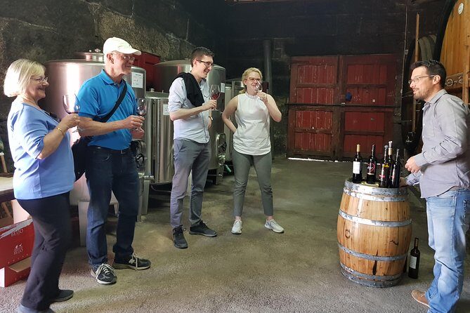 Douro Valley Wine Tour: 3 Vineyard Visits, Wine Tastings, Lunch - Who Should Consider This Tour?