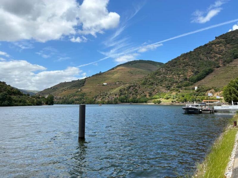 Douro Valley Wine Tour: Boat Ride, 3 Tastings & Delicious Food - Small Group - A Closer Look at What the Tour Offers