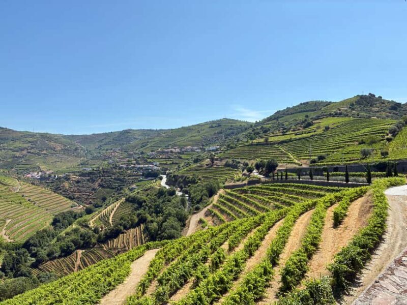 Douro Valley Wine Tour: Boat Ride, 3 Tastings & Delicious Food - Small Group - Practical Details