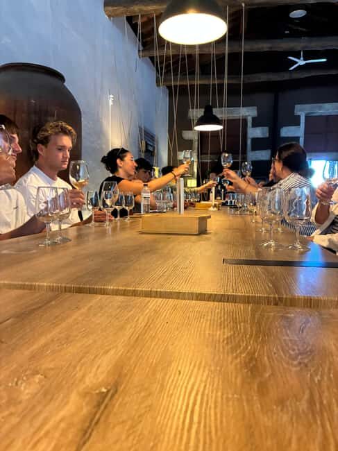 Douro Valley Wine Tour: Boat Ride, 3 Tastings & Delicious Food - Small Group - Who Should Consider This Tour?