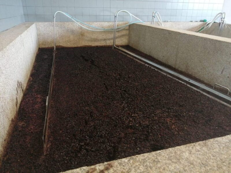 Douro Valley Wine Tour With Traditional Lunch - Key Points
