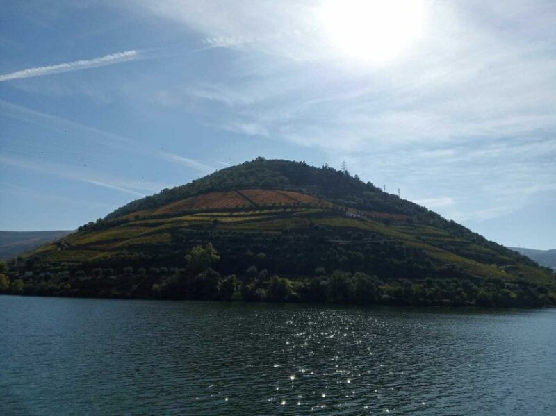 Douro Valley Winery Day Trip with River Cruise - Key Points