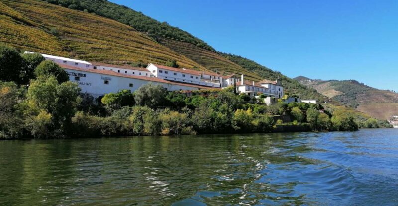 Douro Valley Winery Day Trip with River Cruise - Exploring the Douro Valley Day Trip in Detail