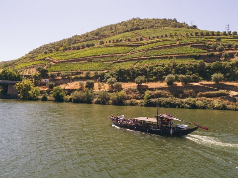 Douro Valley Winery Day Trip with River Cruise - Who Will Enjoy This Tour?