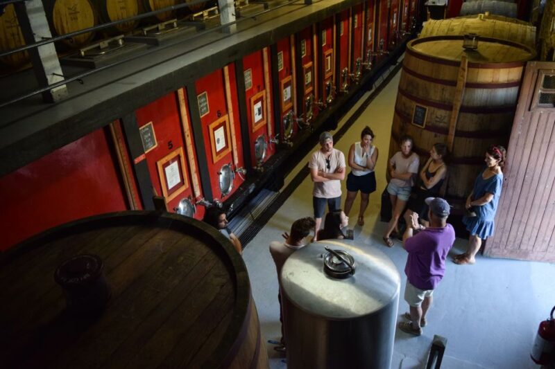 Douro Valley: Winery Tour at Quinta do Tedo and Tastings - Douro Valley: Winery Tour at Quinta do Tedo and Tastings