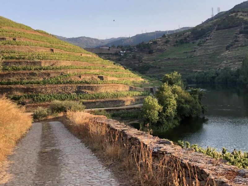 Douro Valley: Winery Tour at Quinta do Tedo and Tastings - FAQ