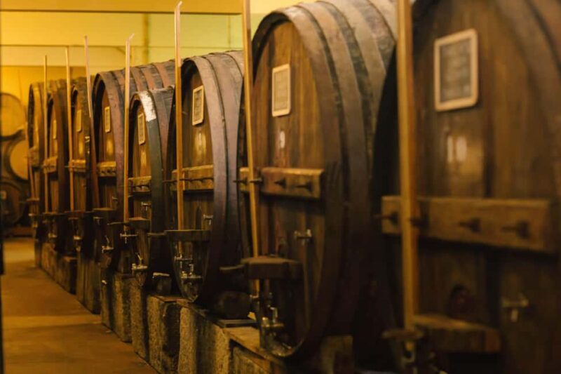 Douro Valley: Winery Tour with Port Wine Tasting and Picnic - Key Points