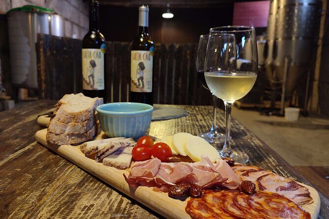 Douro & Vinho Verde: Family Wineries Private Tour in Portugal - Who Will Love This Tour?