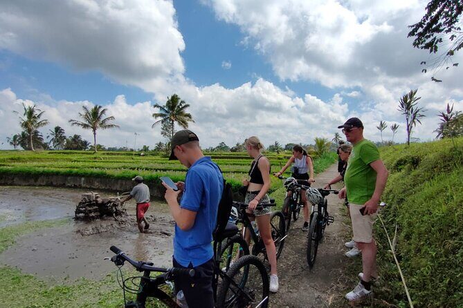 Down Hill Cycling in Bali Country Side with Local - Key Points
