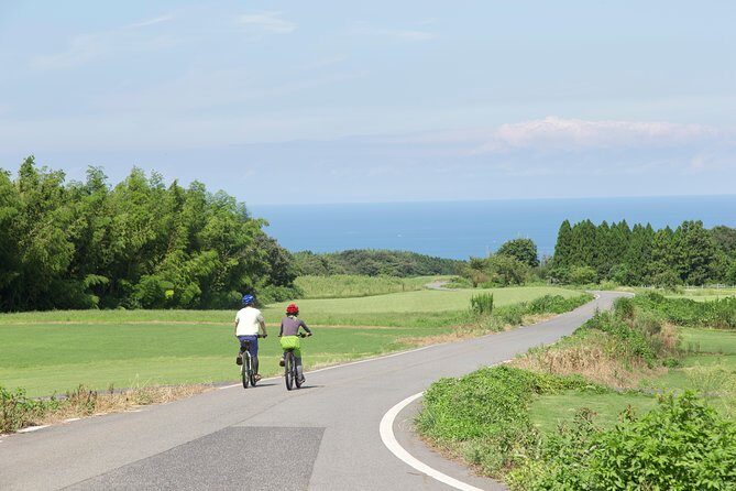 Downhill Biking - Downhill Biking in Tottori Prefecture: An Adventure for Nature Lovers and Thrill Seekers