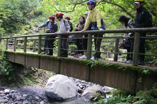 Downhill Biking - Who Should Consider This Tour?