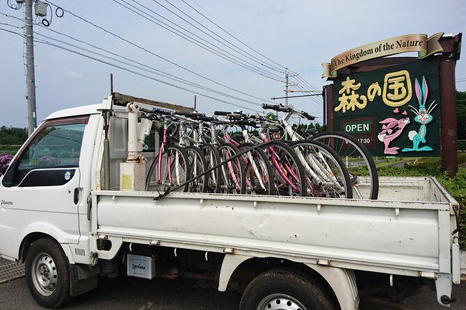 Downhill Biking - The Sum Up: Is This Tour Worth It?