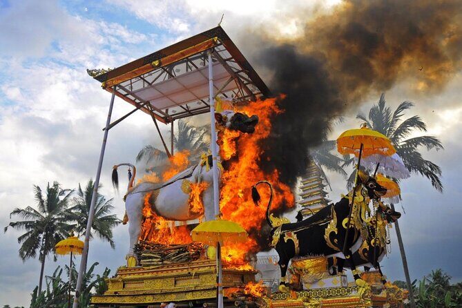 Downhill Cycling Ubud with Volcano,Rice Terraces,Jungle and Meals - The Sum Up: Why This Tour Is a Great Choice