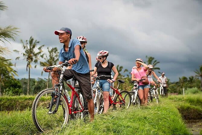 Downhill Jungle and Rice Terrace Cycling Tour - The Sum Up