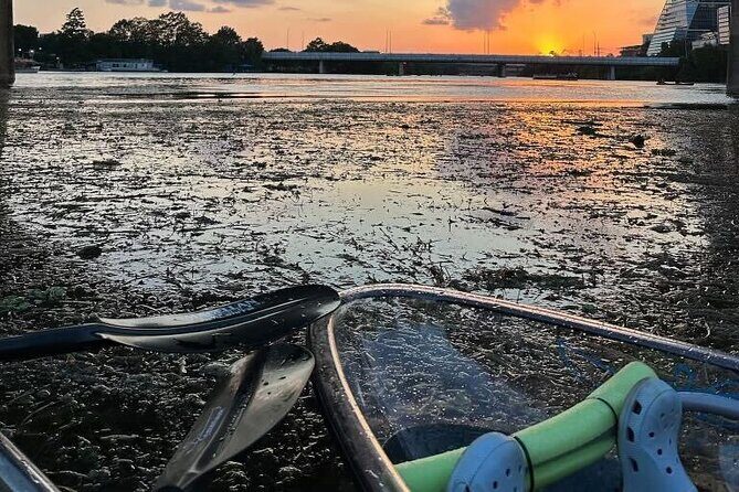 Downtown Austin Skyline Clear Kayak Tour at Lady Bird Lake - Practical Tips for Your Trip