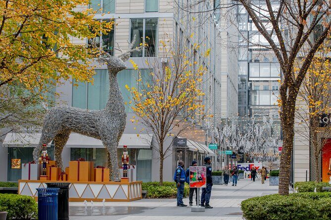 Downtown DC Holiday Tour: Lights, Decorations & Festive Cheer - A Detailed Look at the Downtown DC Holiday Tour