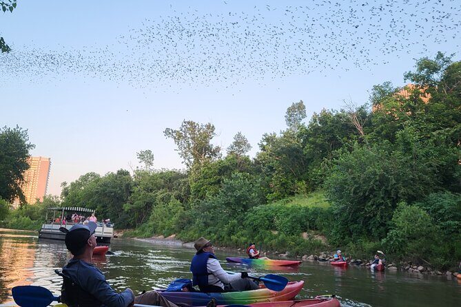 Downtown Houston Bat and Skyline Kayaking Tour - In-Depth Review of the Houston Bat and Skyline Kayaking Tour