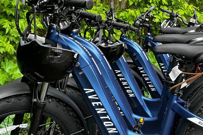 Downtown Sitka E-Bike Rentals - Key Points