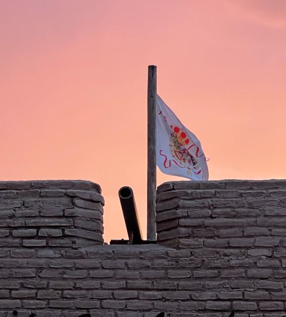 Downtown Tucson & El Presidio Walking Tour with Local Guide - Key Points