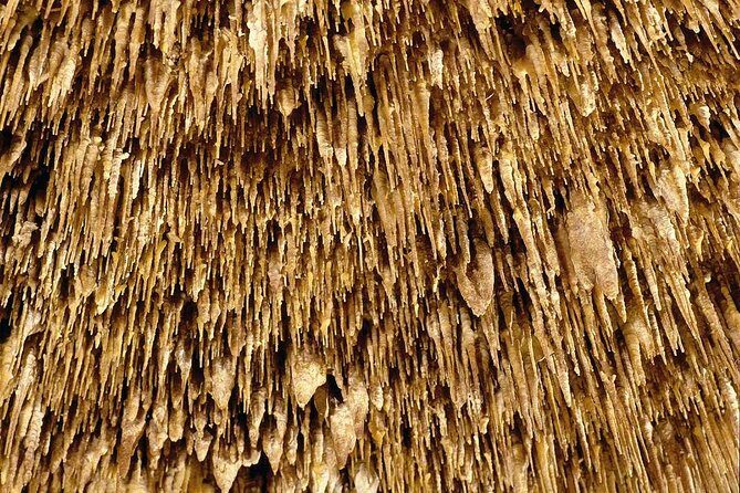 Drach Caves with Port Cristo and Pearl Shop Mallorca Full Day Tour - FAQs
