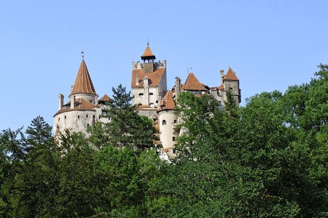 Dracula Castle Rasnov Fortress optional Peles Castle from Brasov - Who Is This Tour Best For?